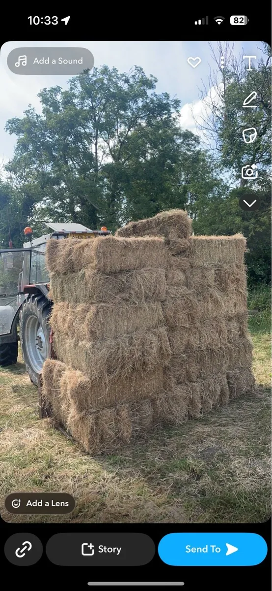 Hay - Image 1