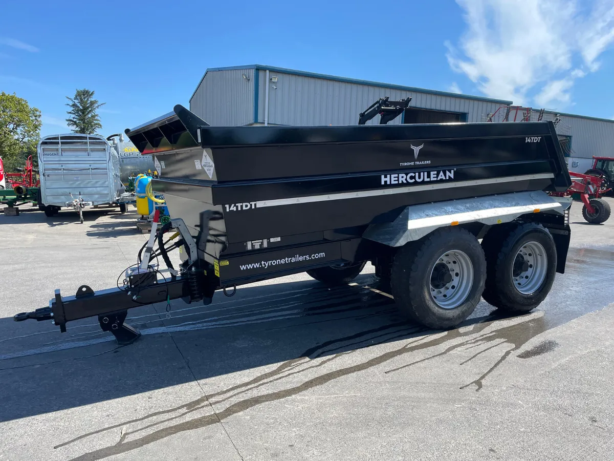 Tyrone Trailers 14T Dump Trailer - Image 2