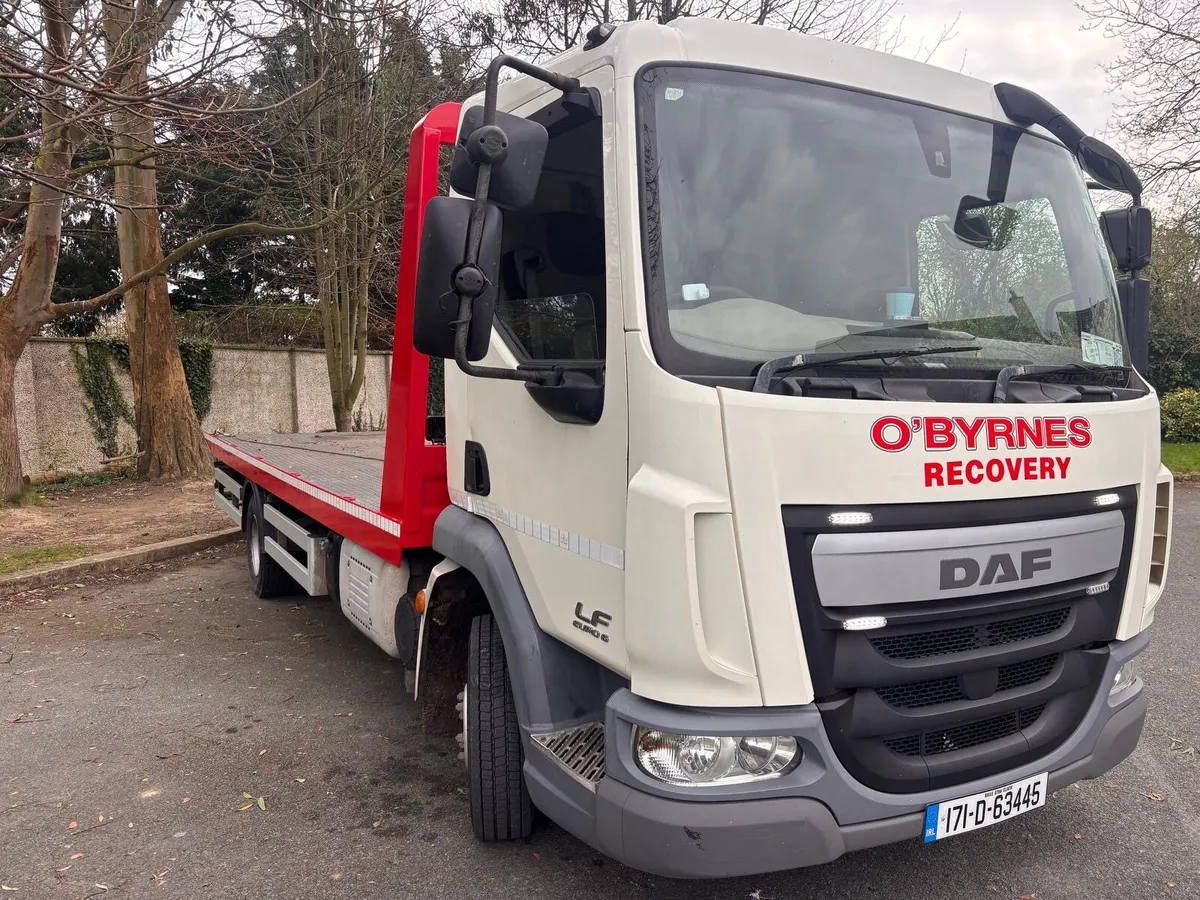 🔵 DAF LF  2017 - Image 2