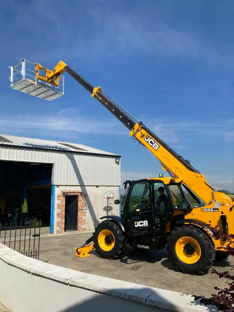 Biddy Man Baskets - Image 3