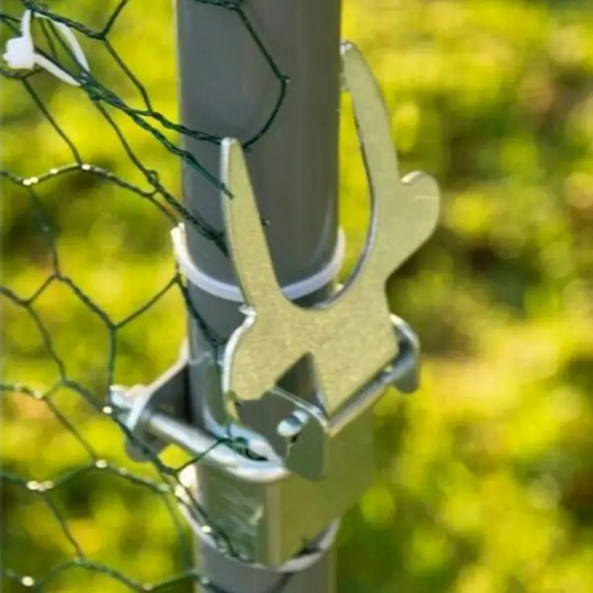 Hen Run With a Free Cover – 3M x 2M x 2M - Image 3