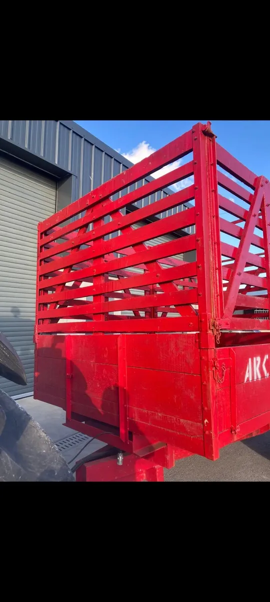 Arch 11 by 7 - Image 4