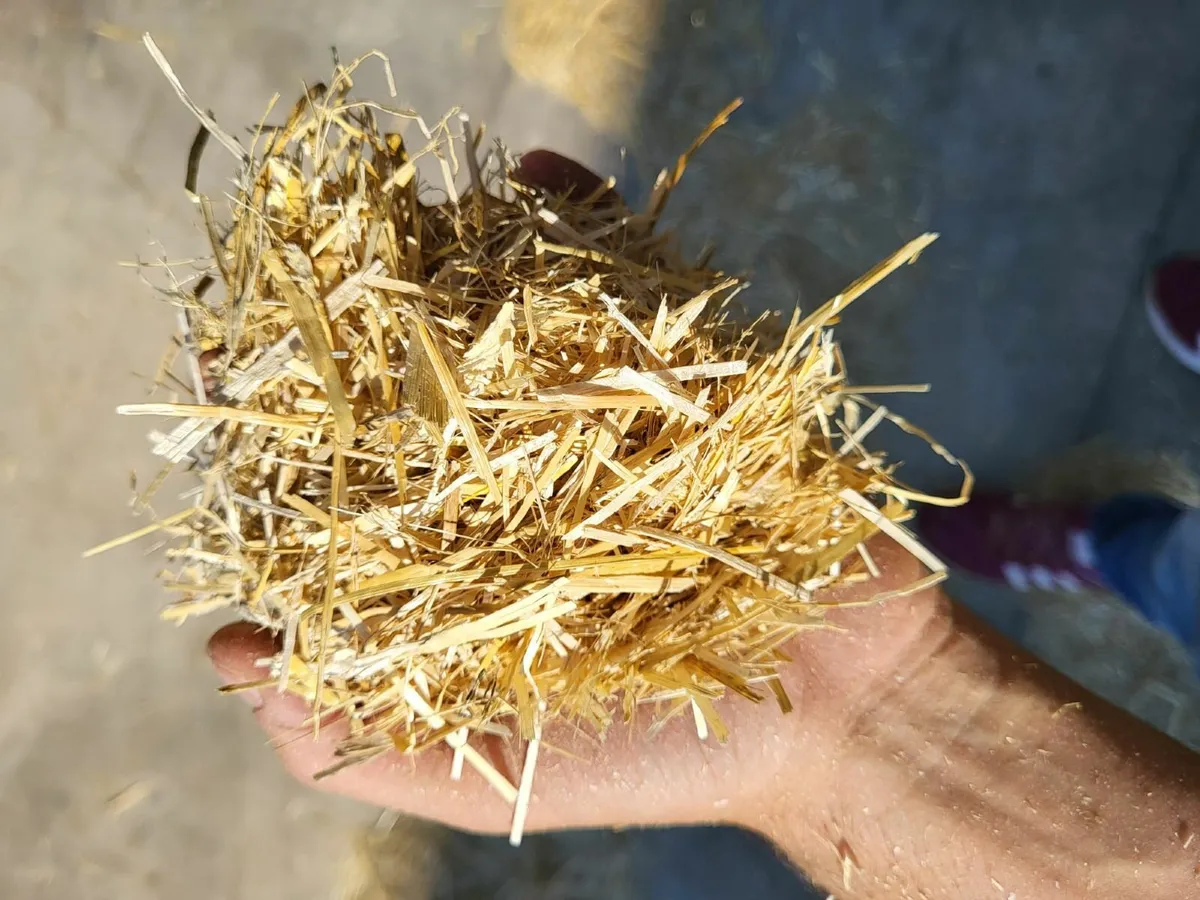Precision chopped Straw and Alfalfa - Image 1