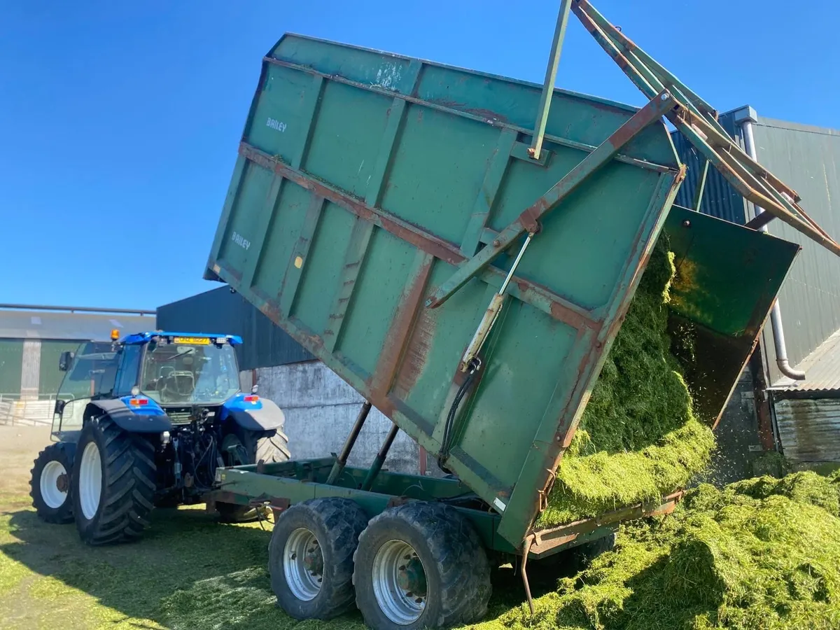 Bailey 12 ton grain/silage trailer - Image 1