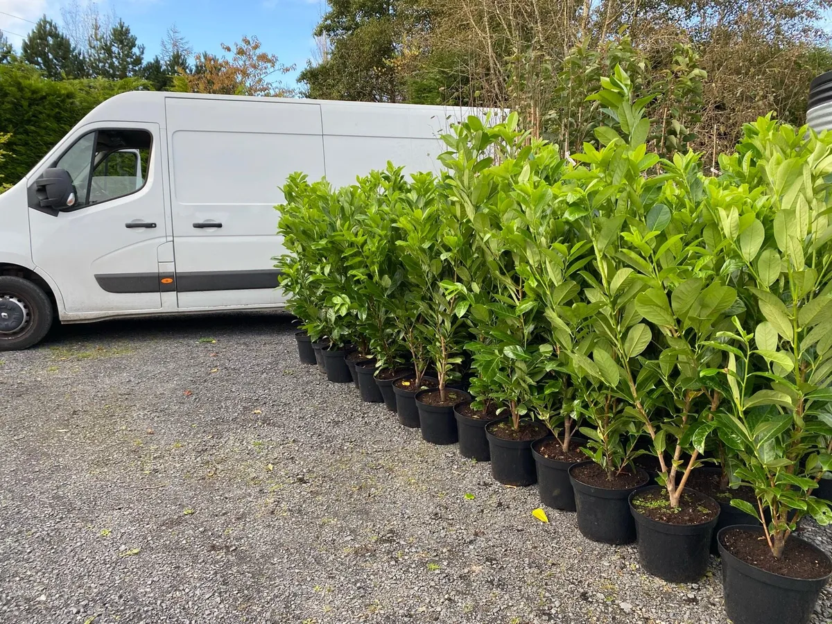 Instant Hedging - Image 4