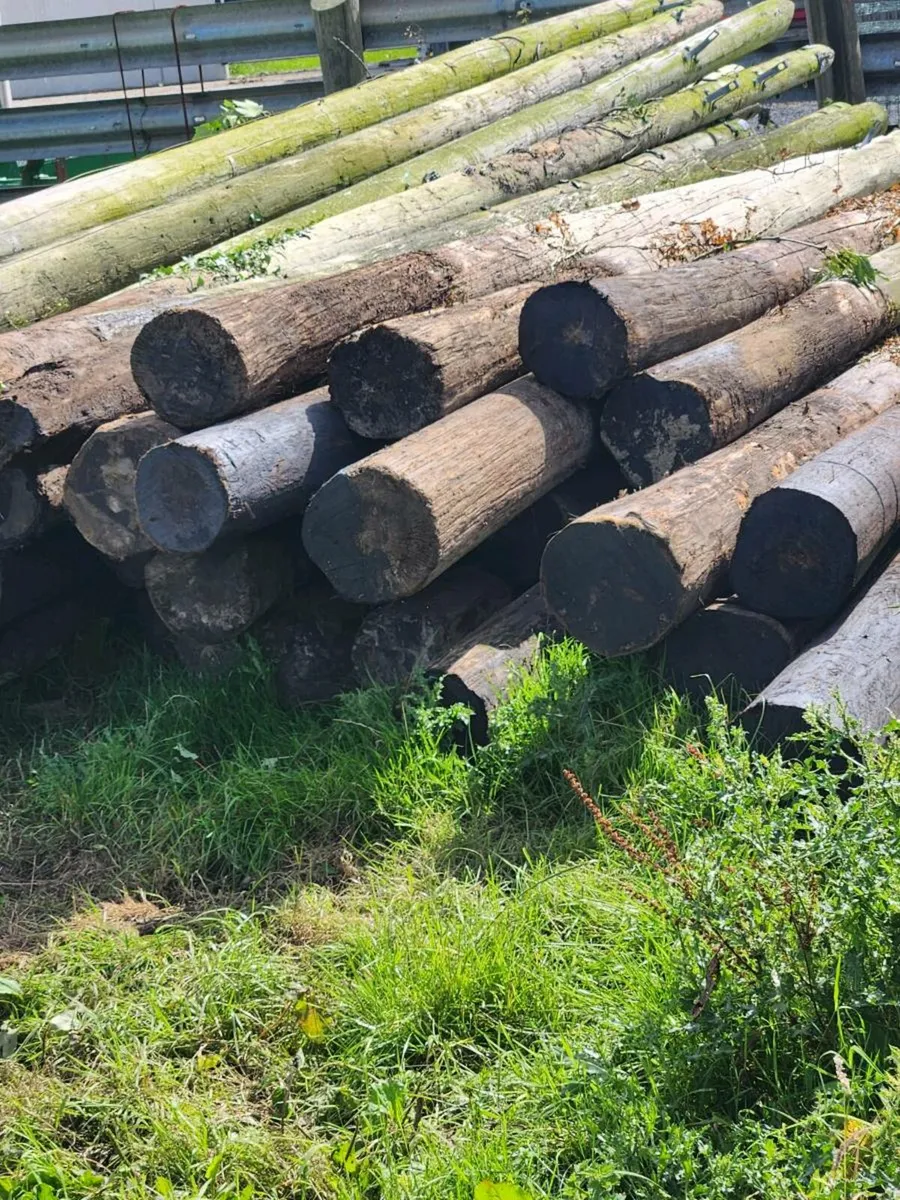 Eircom telegraph poles - Image 1