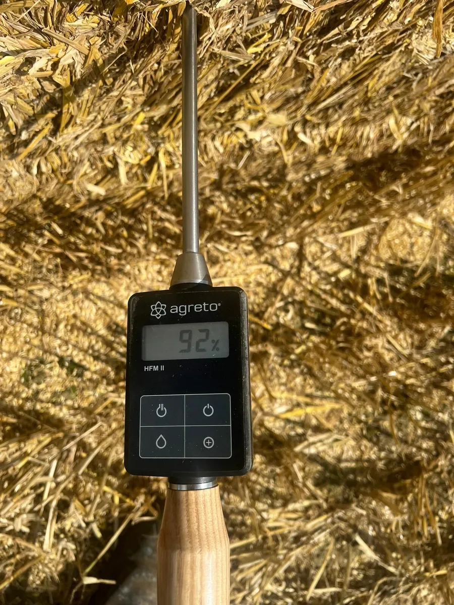 Spring straw - Image 2