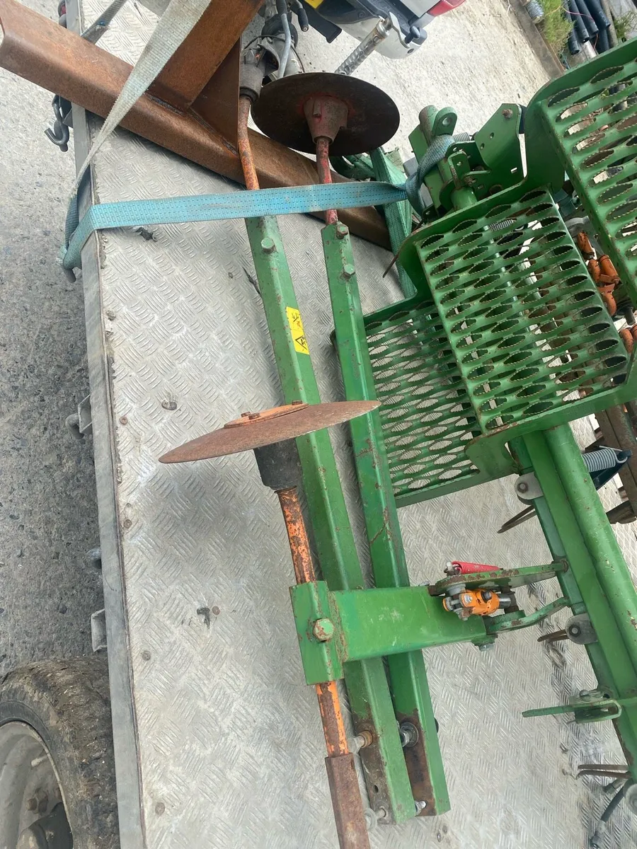 Amazon’s air star - Image 3