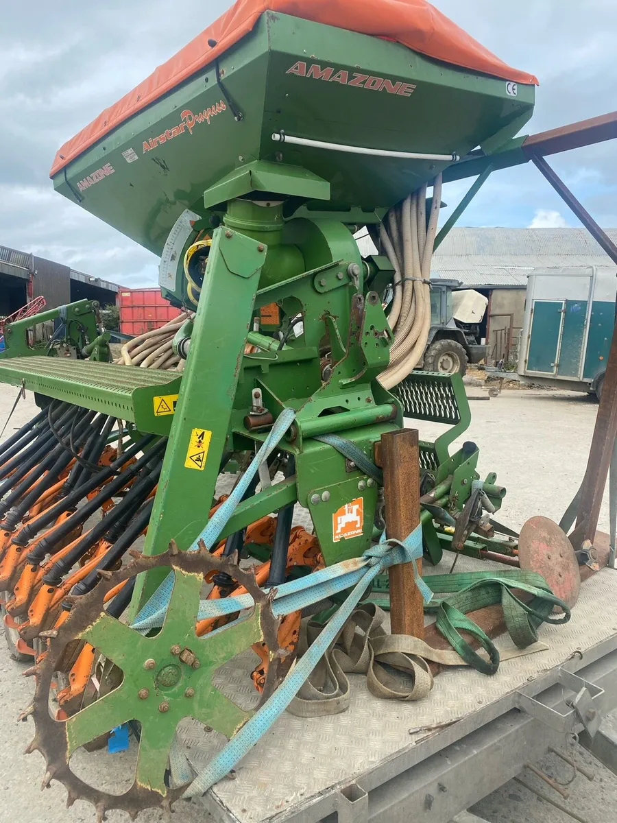 Amazon’s air star - Image 4