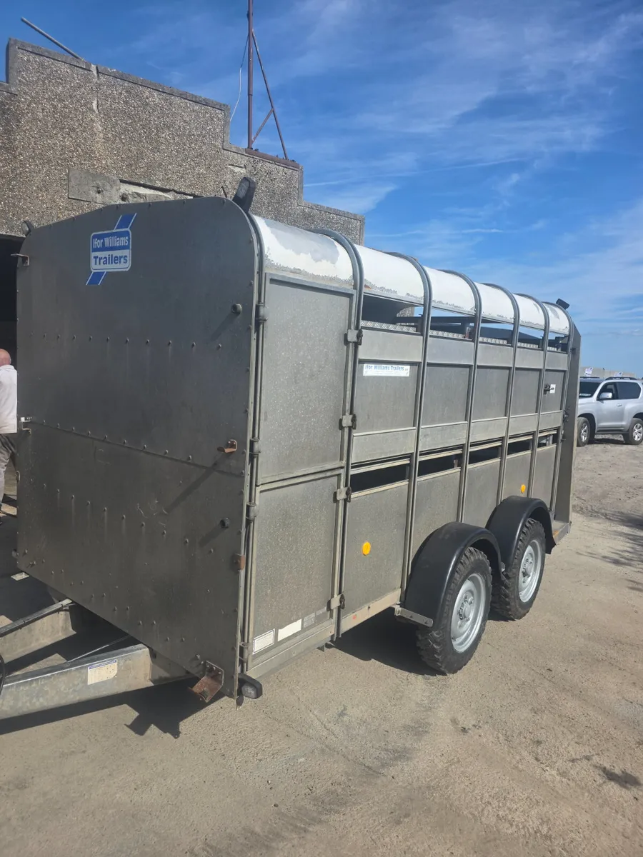 Large selection of used livestock trailers - Image 2