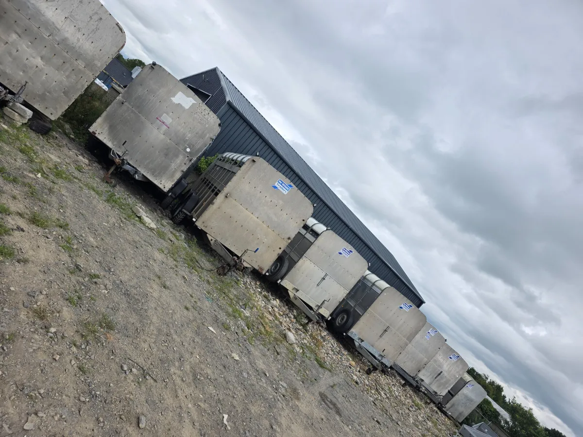 Large selection of used livestock trailers - Image 1