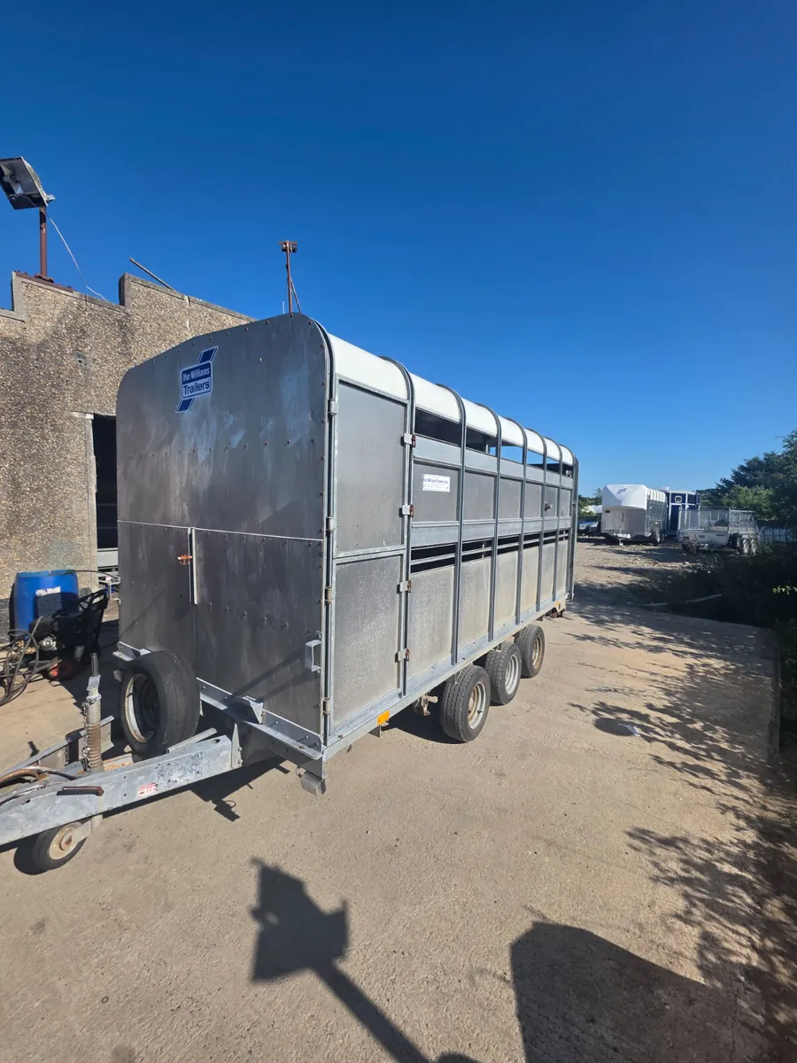 Large selection of used livestock trailers - Image 3