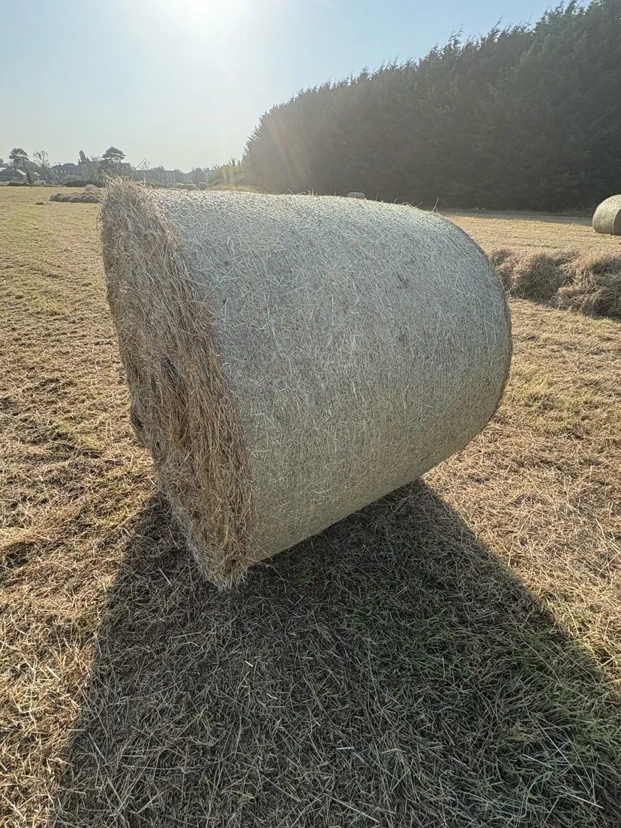 Hay Bales - Image 1