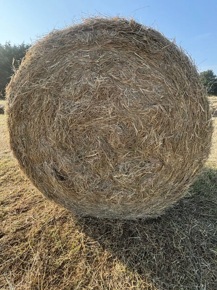 Hay Bales - Image 2