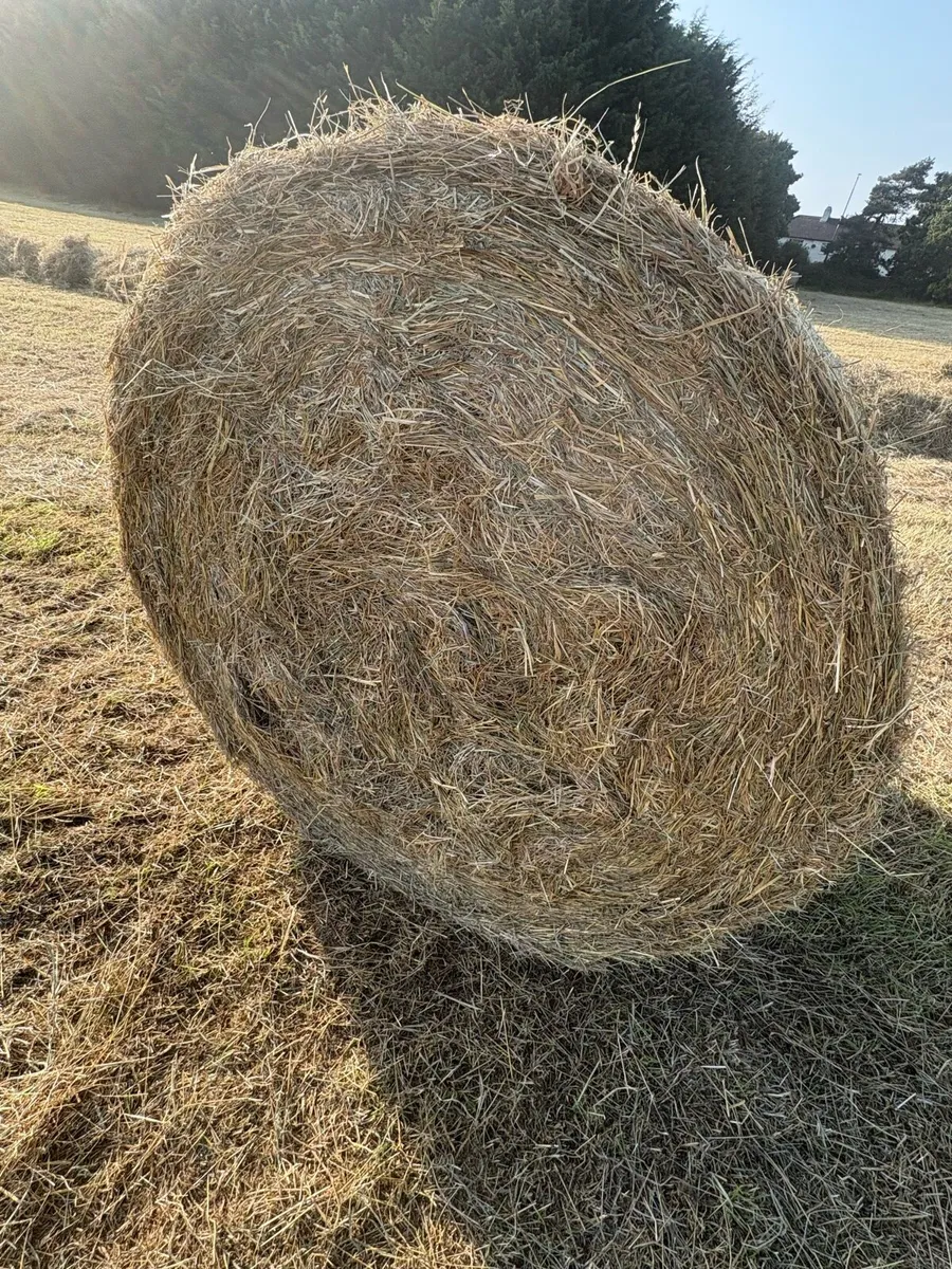 Hay Bales - Image 3