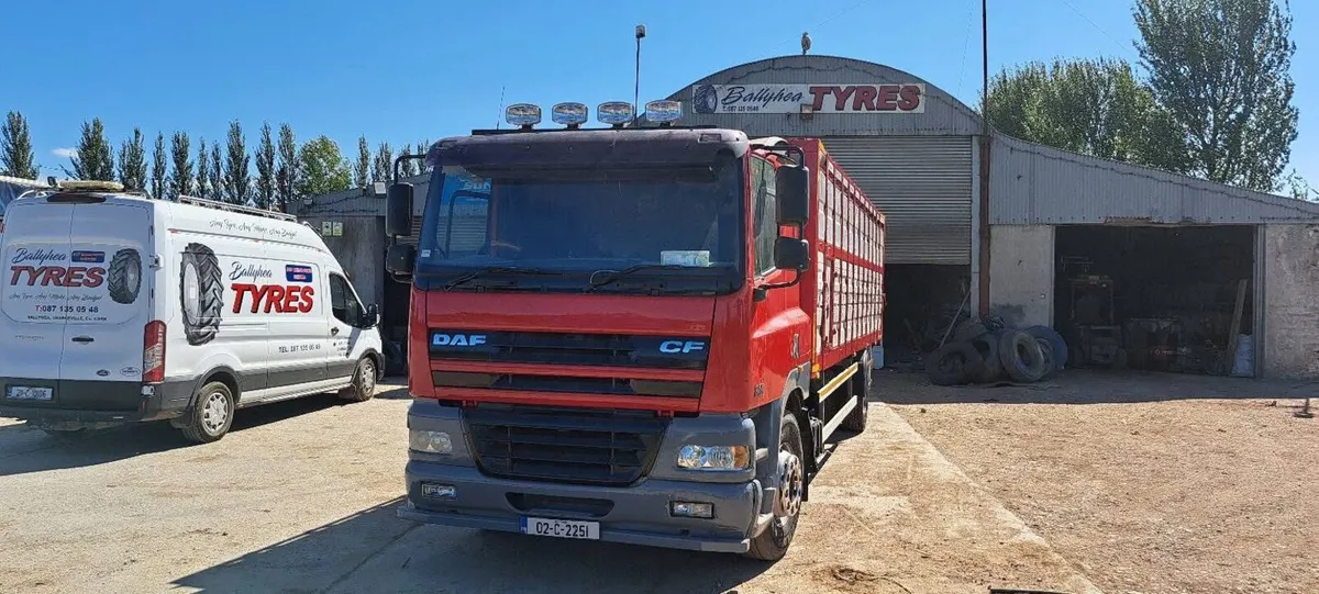 DAF CF 380 cattle truck - Image 1