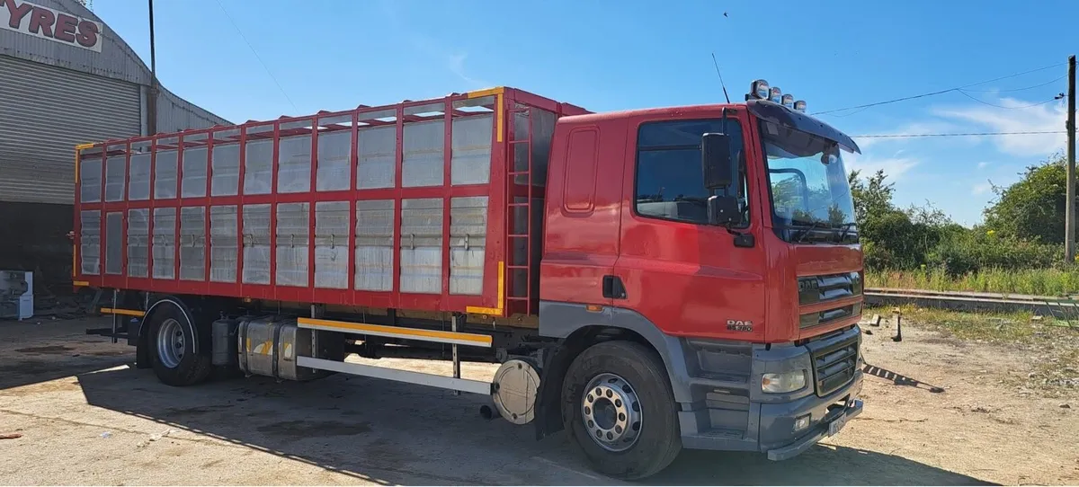 DAF CF 380 cattle truck - Image 2