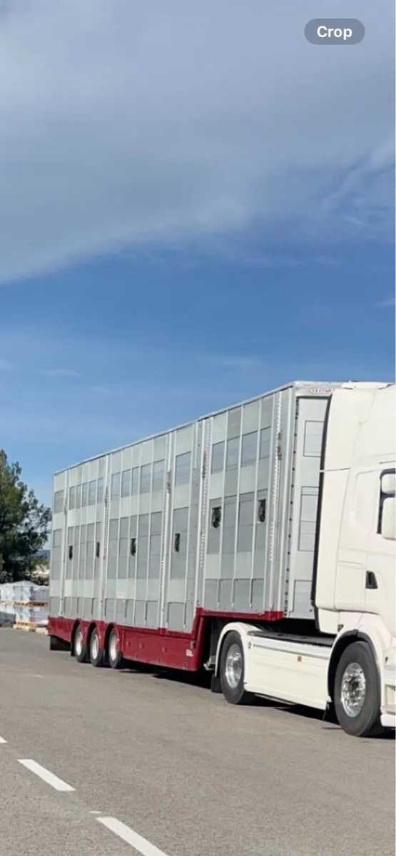 Pezzaioli livestock 4 deck - Image 2