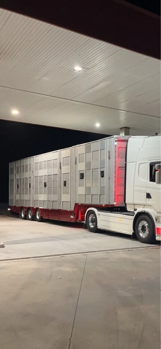 Pezzaioli livestock 4 deck - Image 1