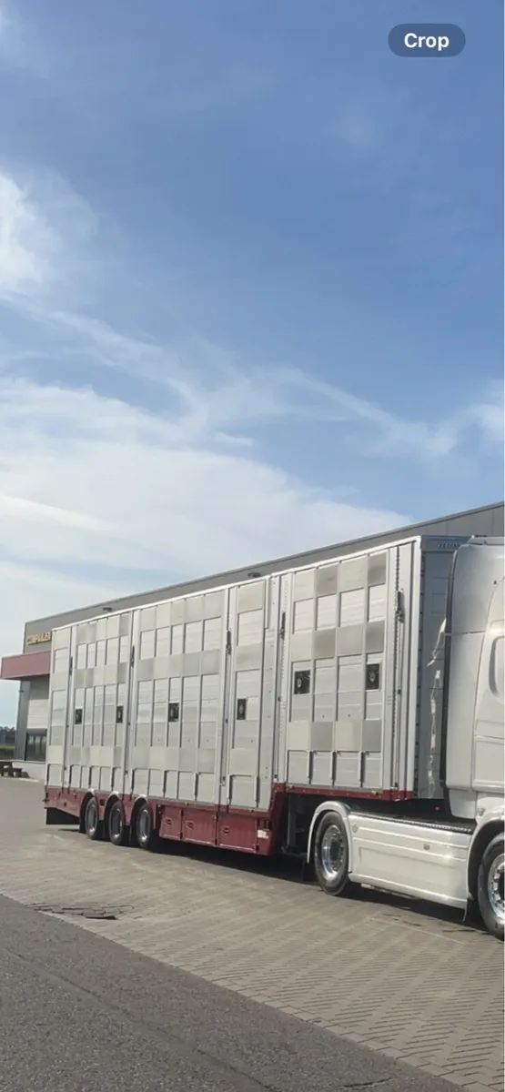 Pezzaioli livestock 4 deck - Image 3