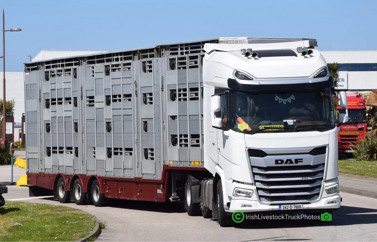 Pezzaioli livestock 4 deck - Image 4