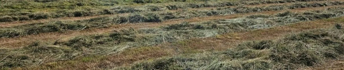 Hay, Haylage, Silage For Sale - Image 4