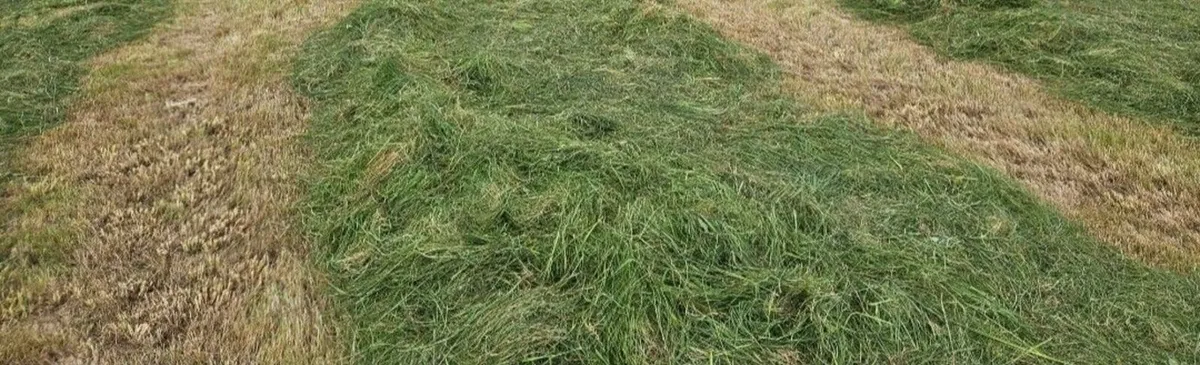 Silage, Haylage For Sale - Image 1