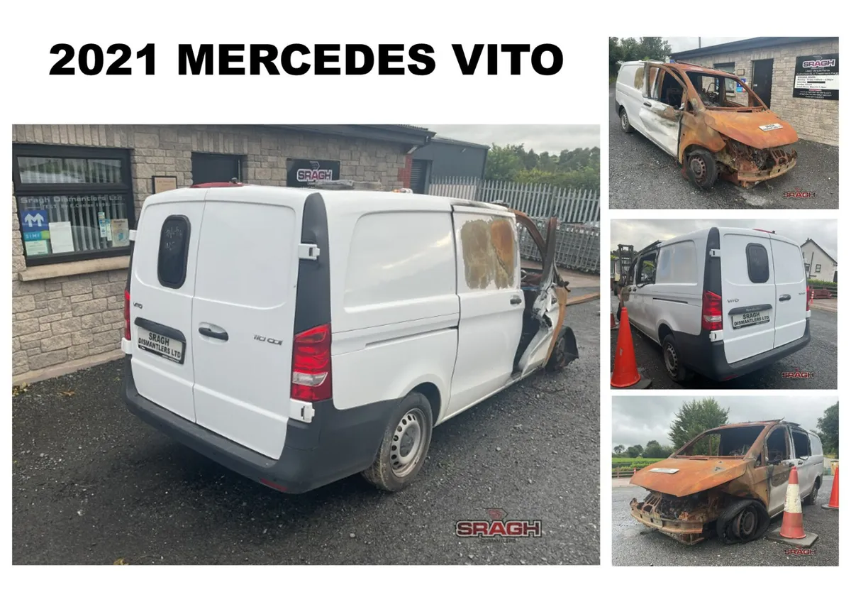 MERCEDES VITO COLLECTION - Image 1