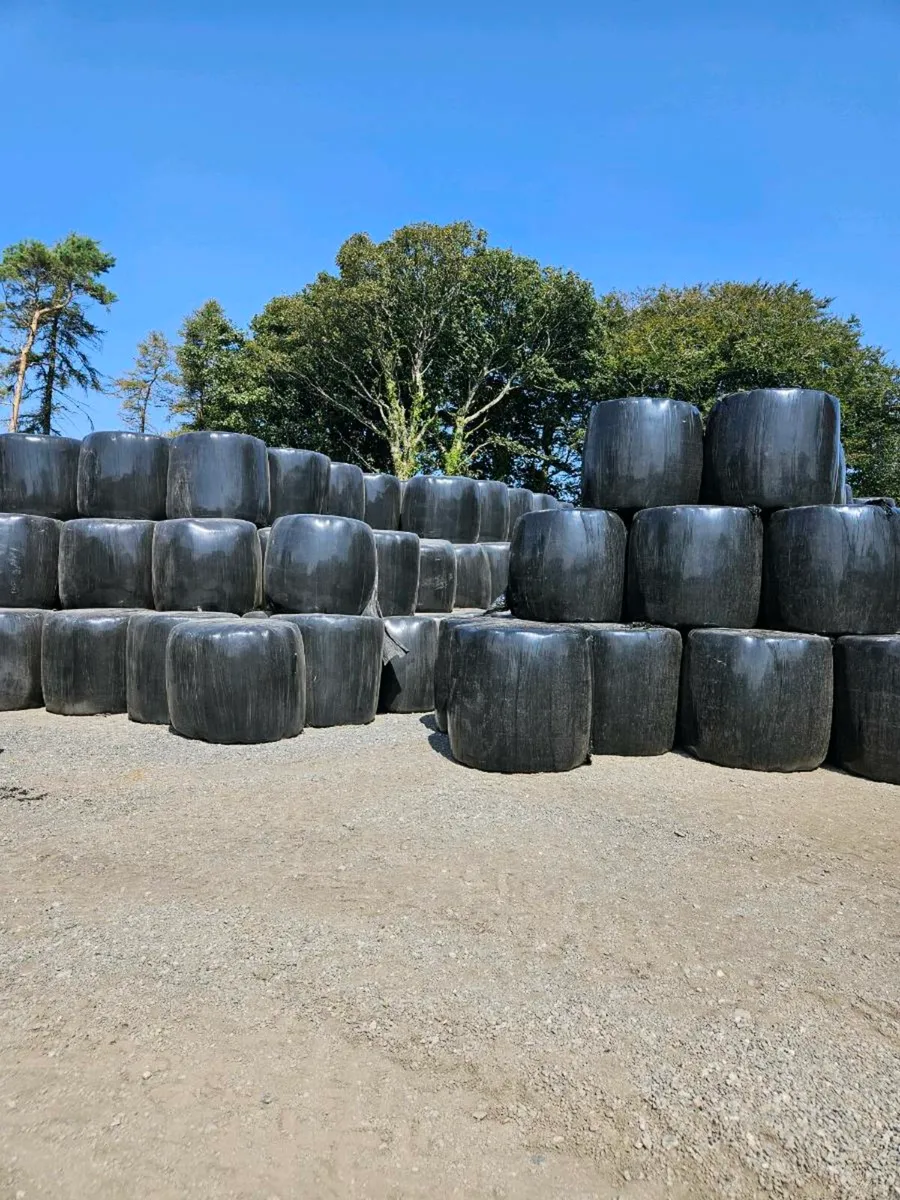 Haylage - Image 1