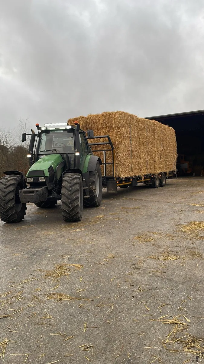 Round and Square bales - Image 2