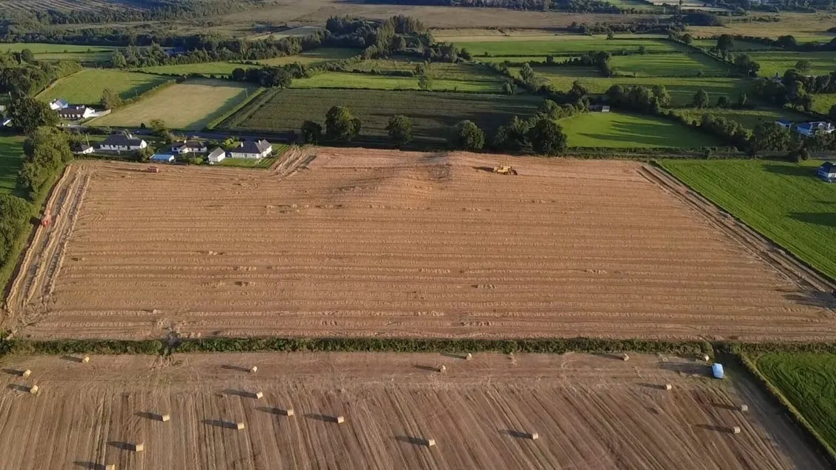 Land wanted for crops Galway/Roscommon