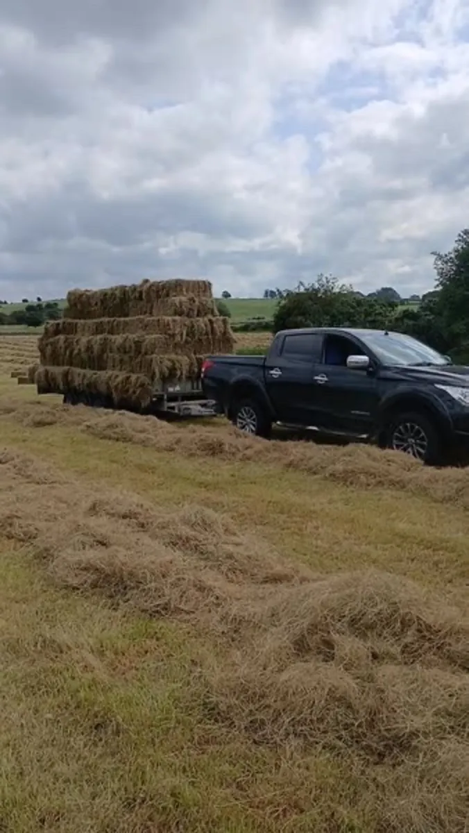 Square bales of hay - Image 2