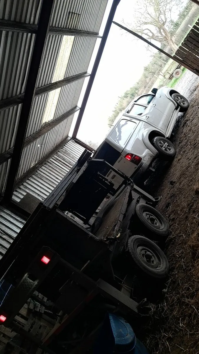 Hoof trimming/Calf dehorning - Image 1