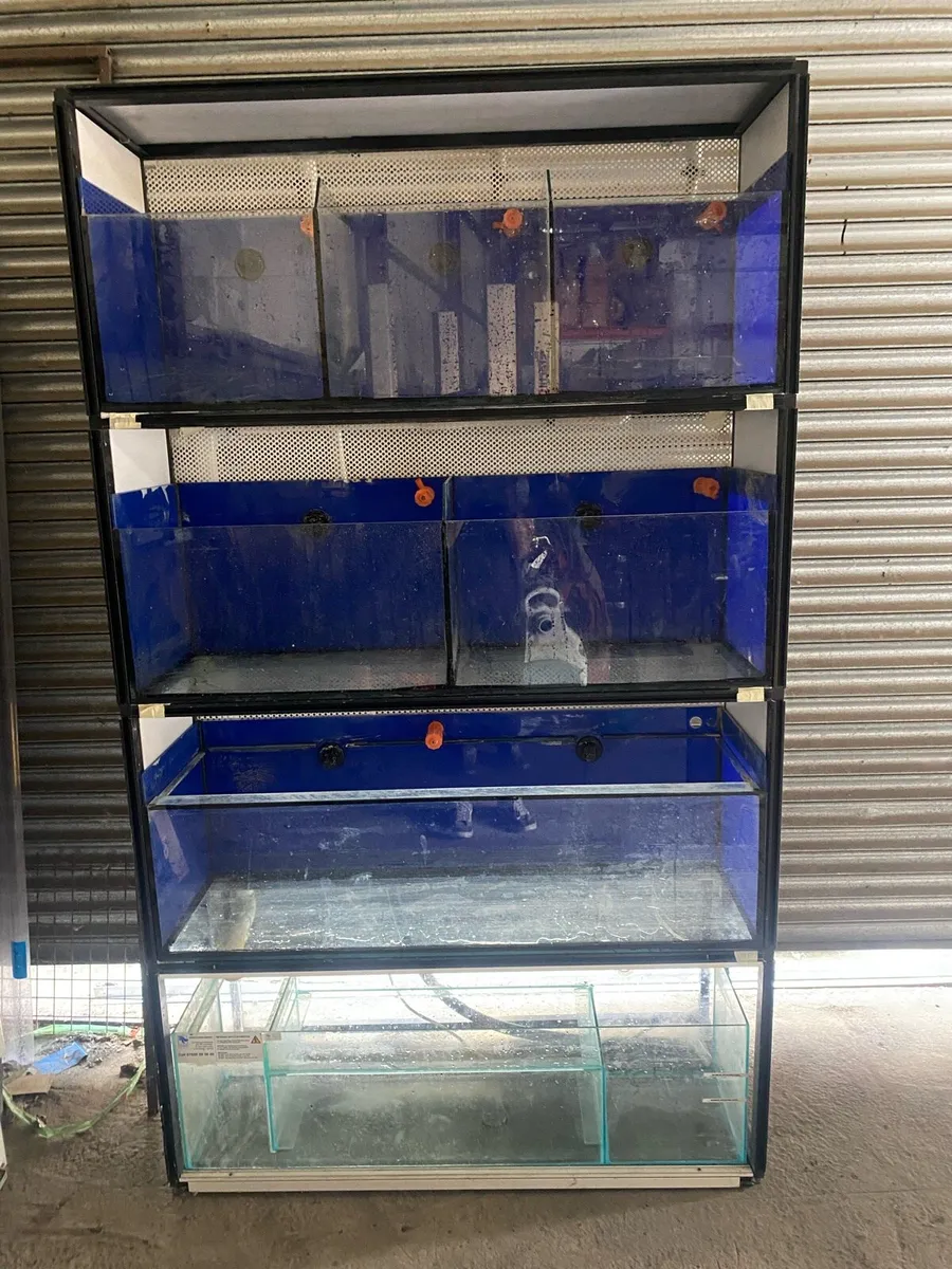 Aquariums - Image 1