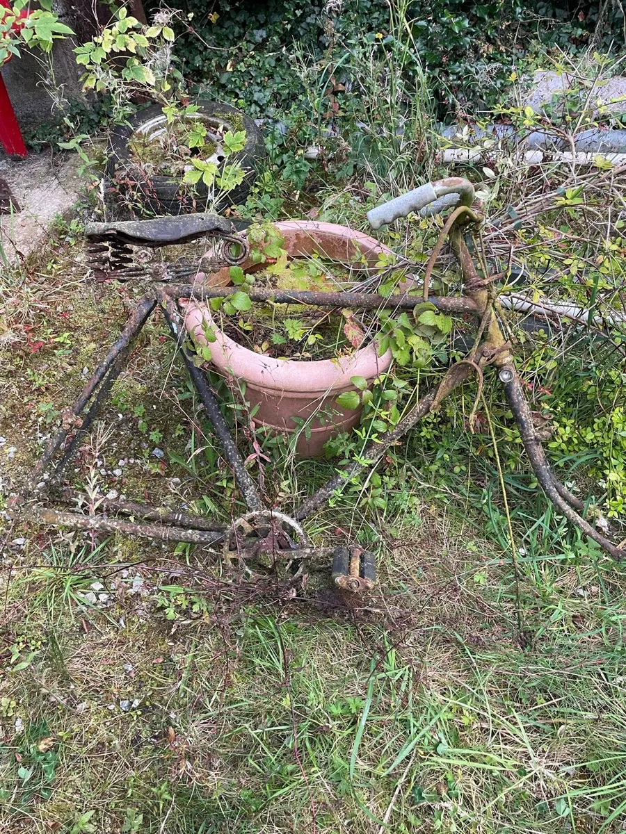 Vintage bicycles - Image 3