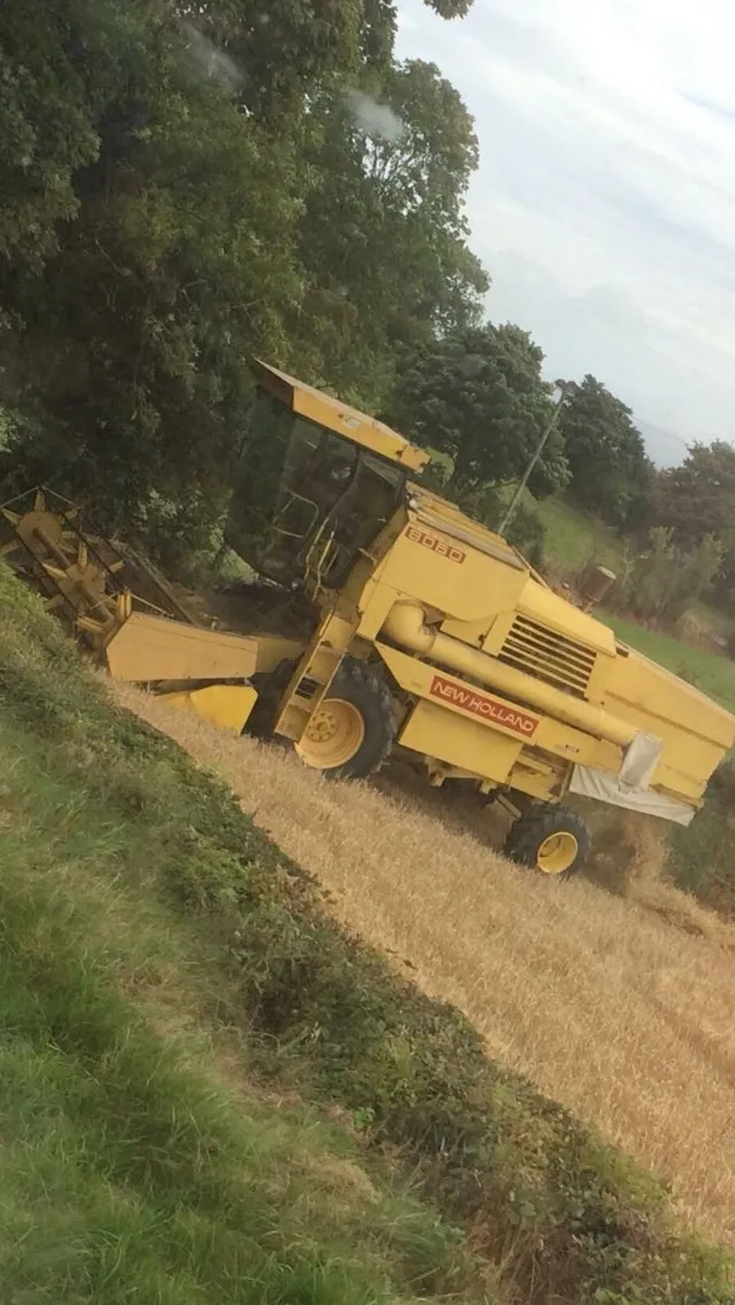 New holland combine 8060 - Image 2