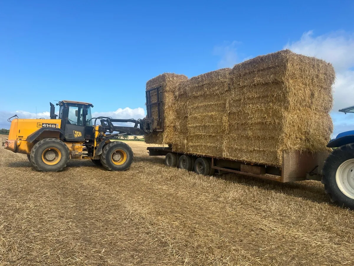Barley straw 8x4x3 - Image 3