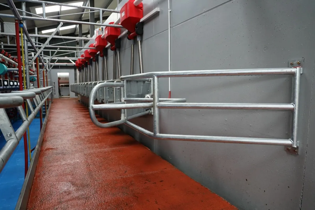 Milking parlour services - Image 2