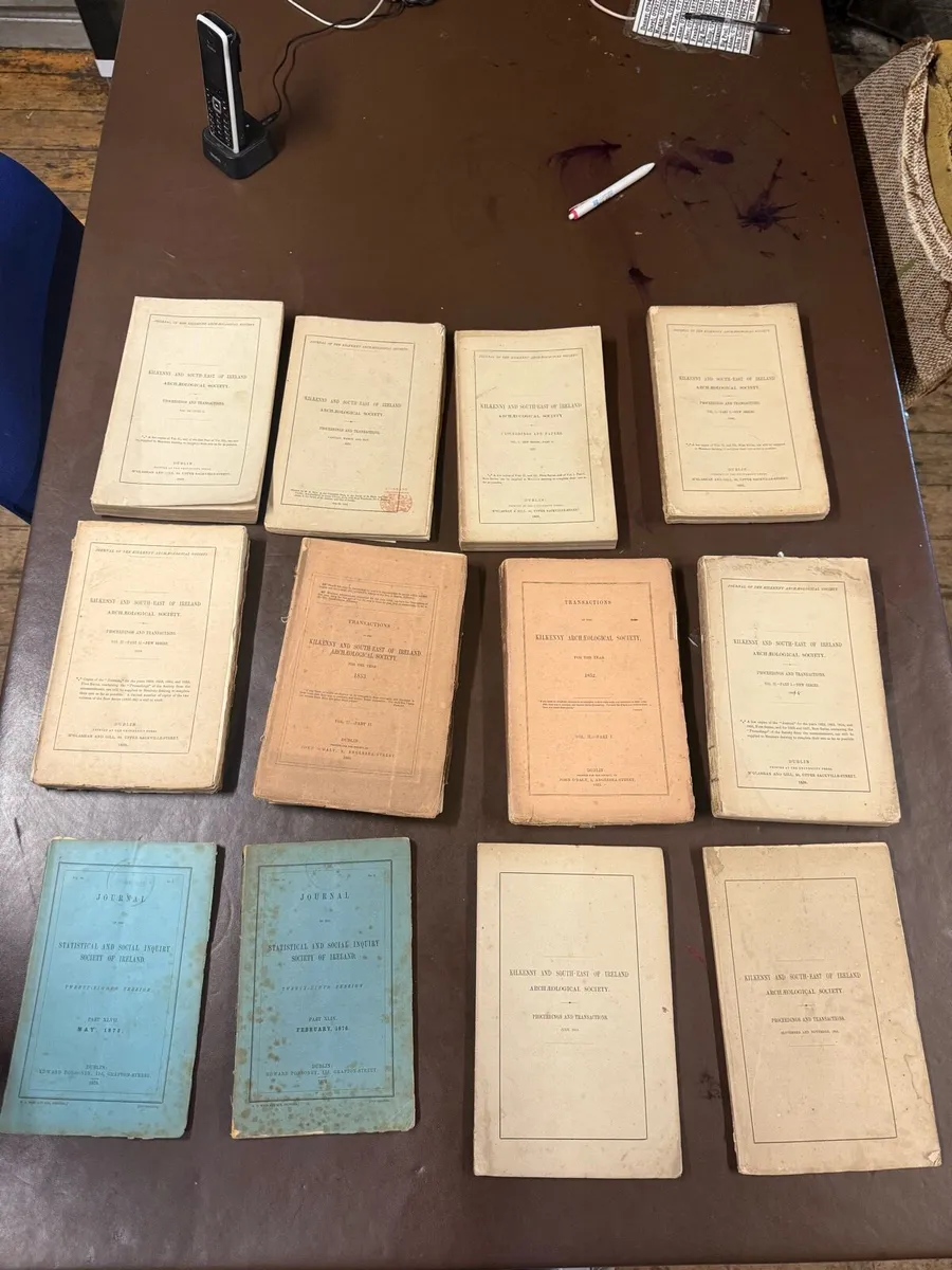 Historical 1850's Kilkenny proceedings books - Image 1