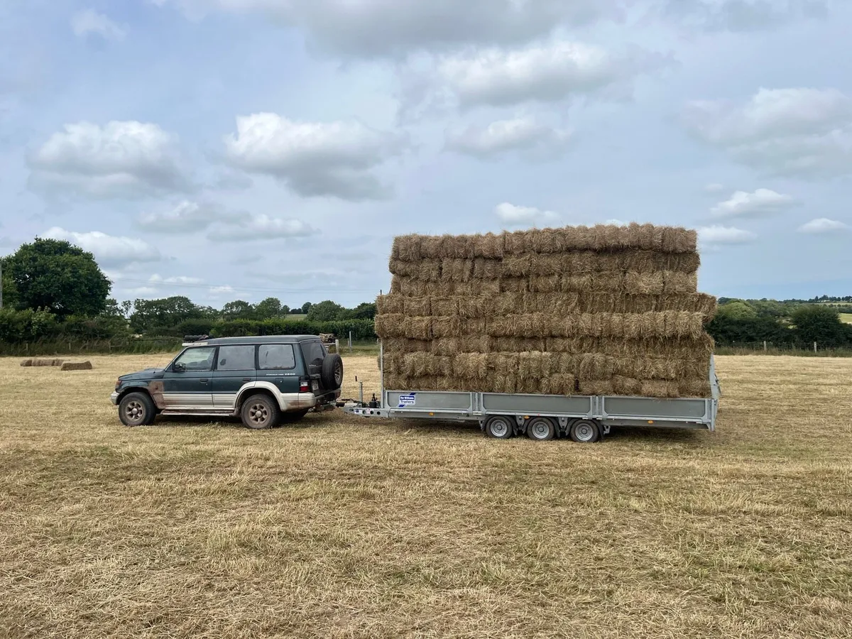Small square bales of hay - Image 3