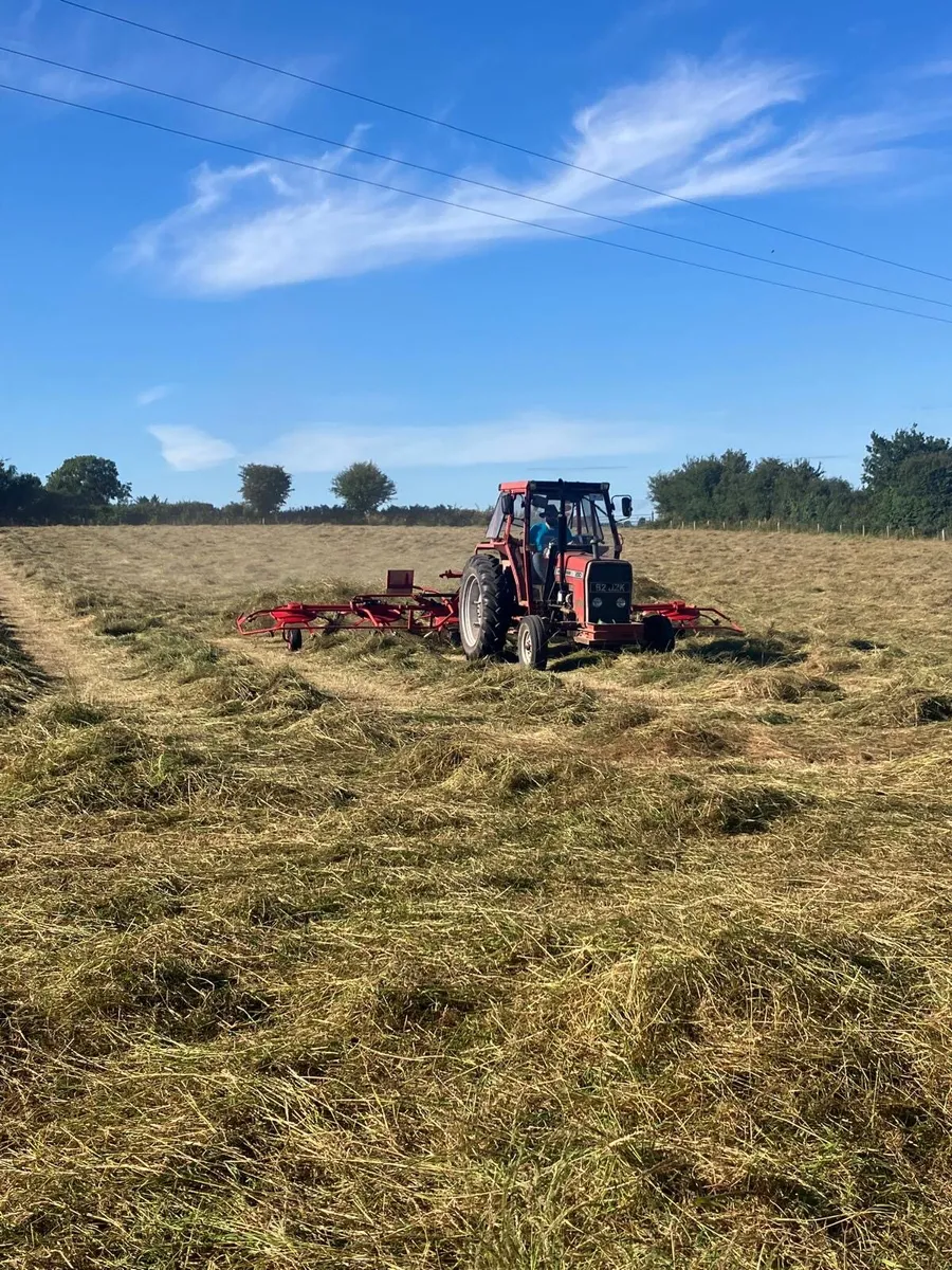 Small square bales of hay - Image 2