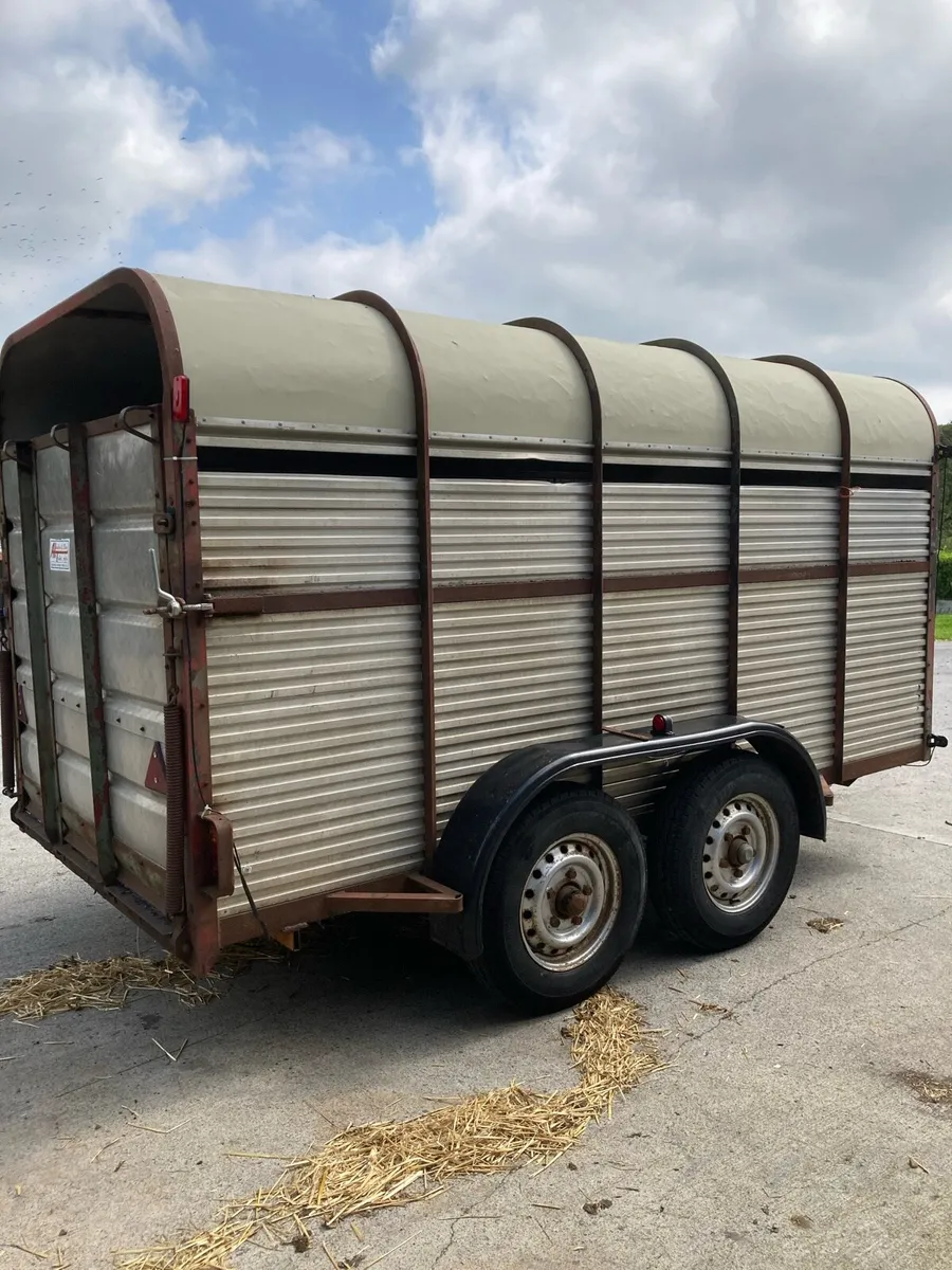Hamilton 12x6 cattle trailer - Image 3