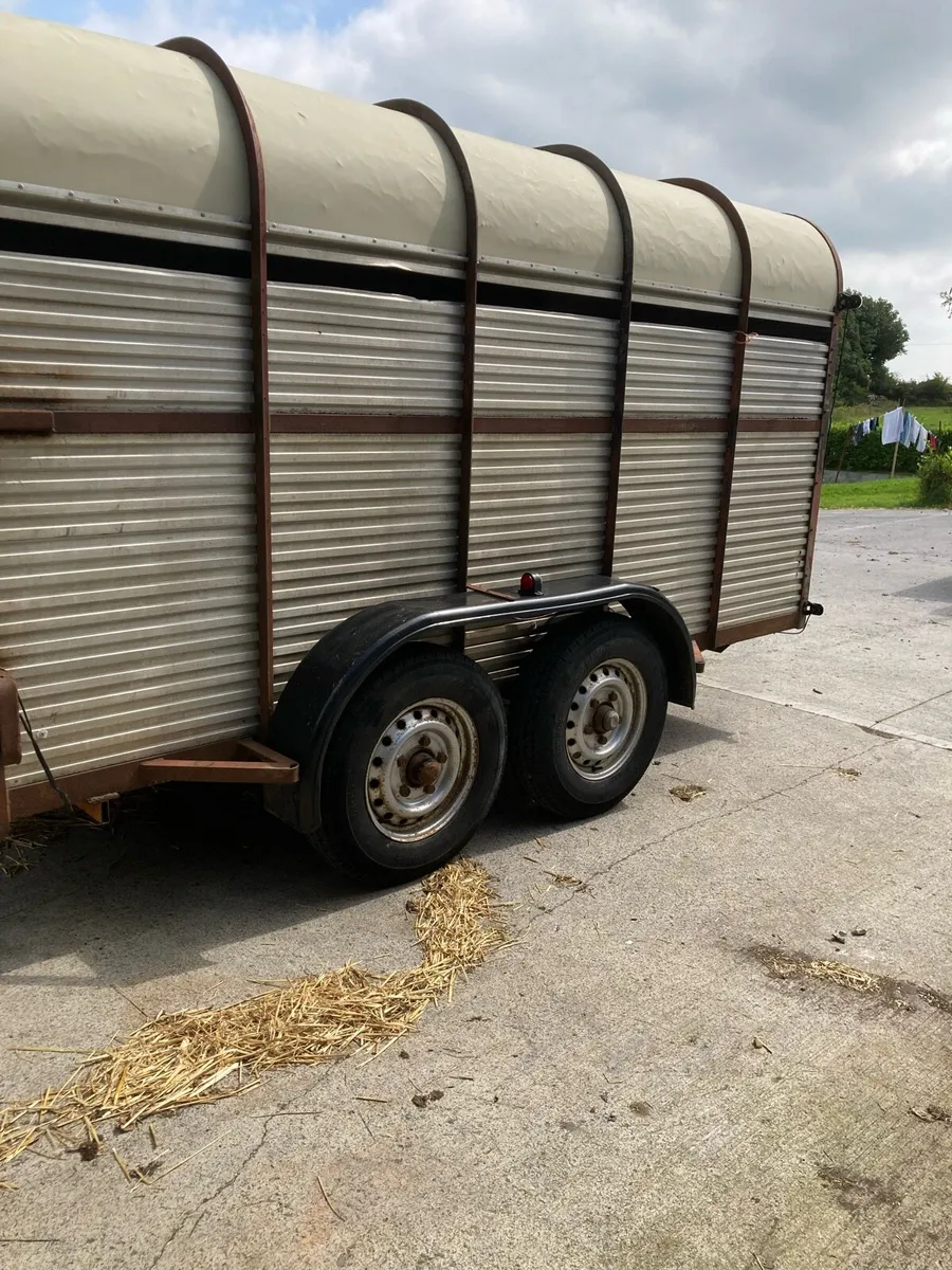 Hamilton 12x6 cattle trailer - Image 4