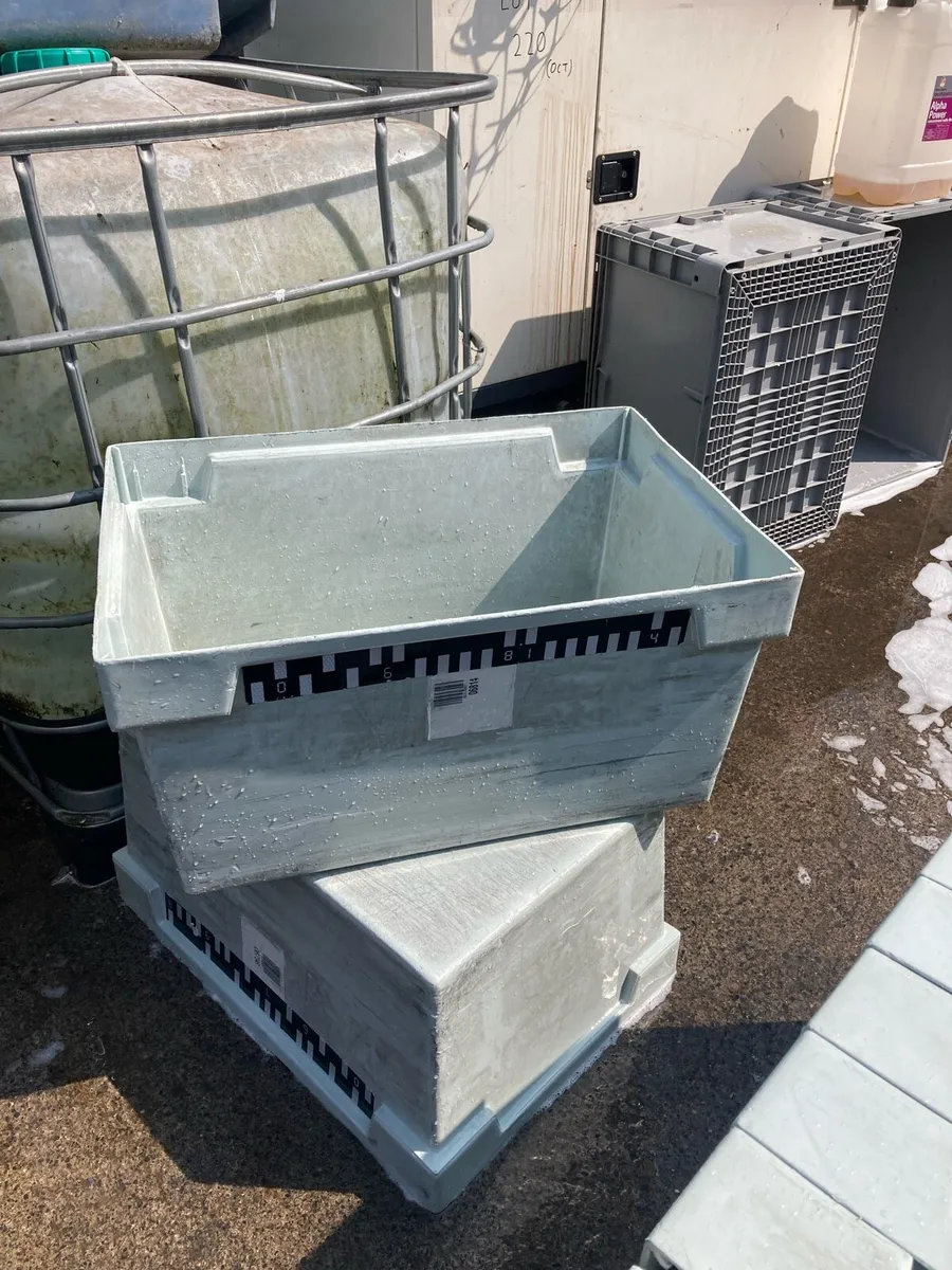 Plastic Crates - Image 1