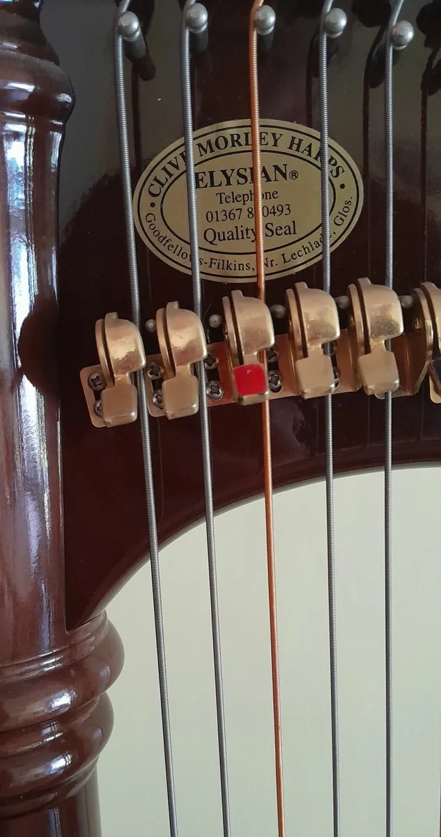 Harp 39 string, Clive Morley. - Image 3