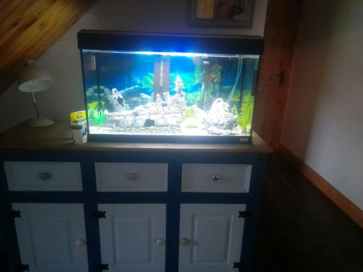 Fish tank - Image 1