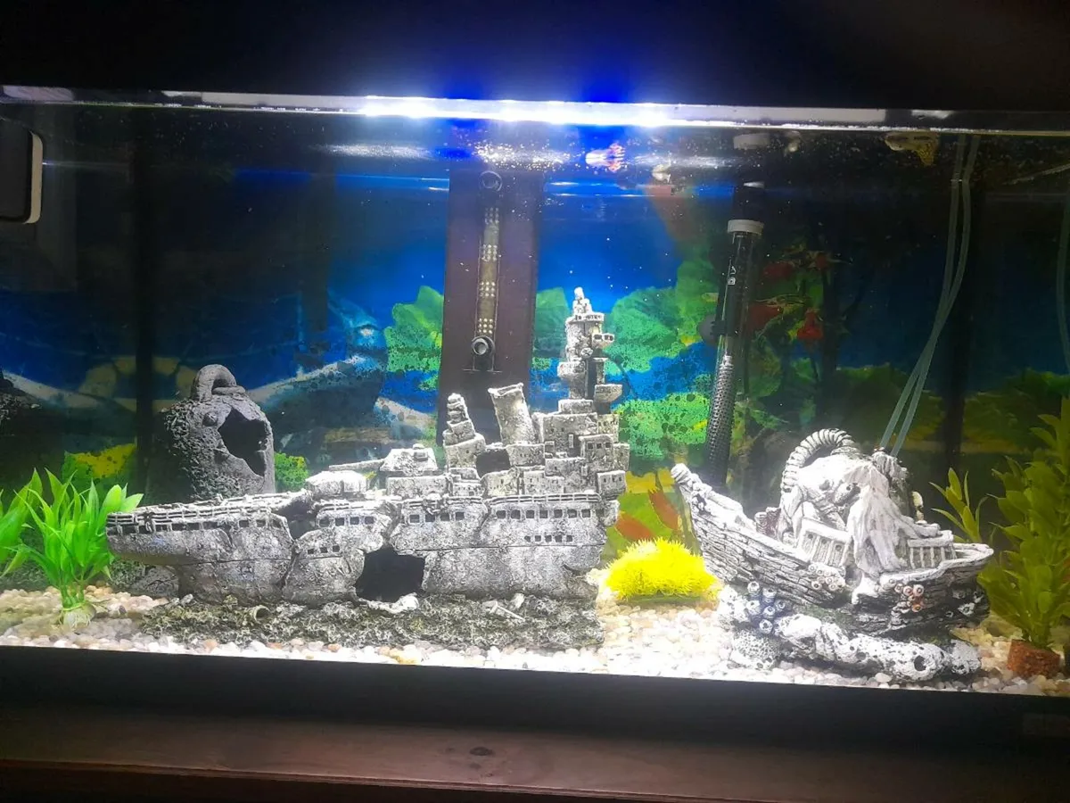 Fish tank - Image 2