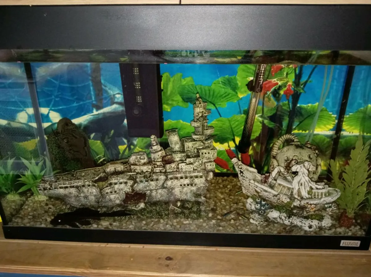 Fish tank - Image 3
