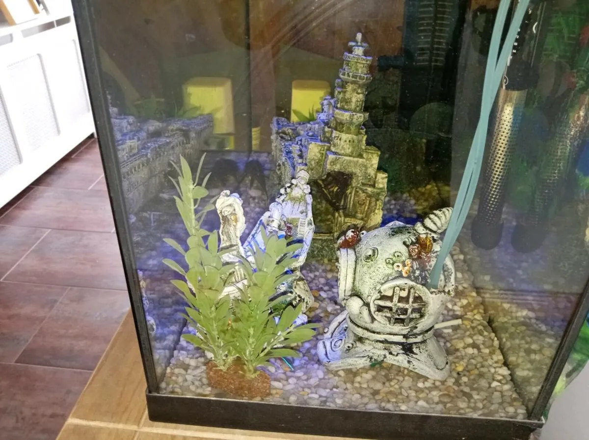 Fish tank - Image 4