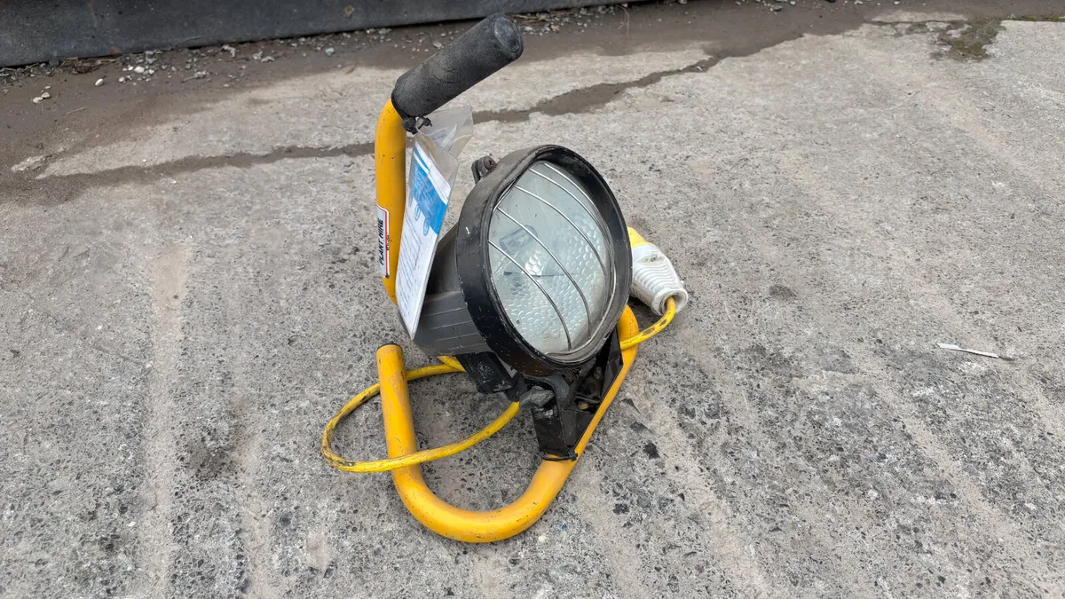 110V Light - Image 2